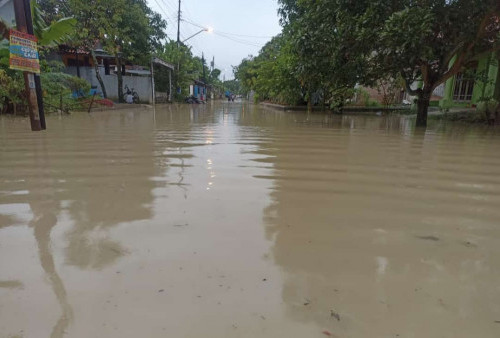 Pantura Tegal Terendam Banjir, Ketinggian Air di 8 RT dari 2 RW Setinggi Lutut Orang Dewasa  