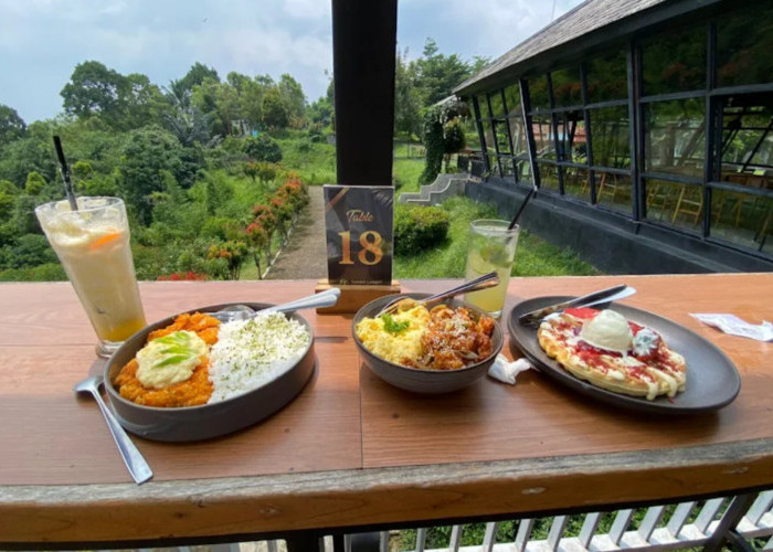 Menikmati Alam dan Hidangan Lezat, Ini 5 Tempat Makan Keluarga di Purwokerto dengan View Cantik