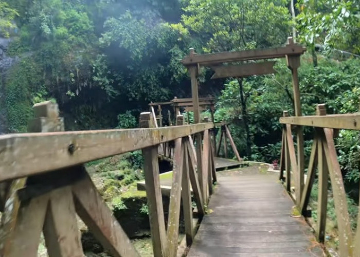 5 Wisata Alam Murah dan Instagramable di Salatiga, Adem Banget