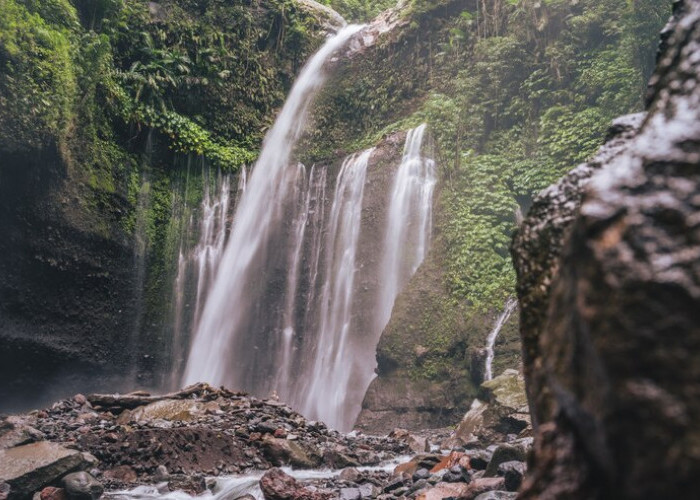 4 Wisata Alam Menyegarkan di Tegal Jauh dari Hiruk Pikuk Kota