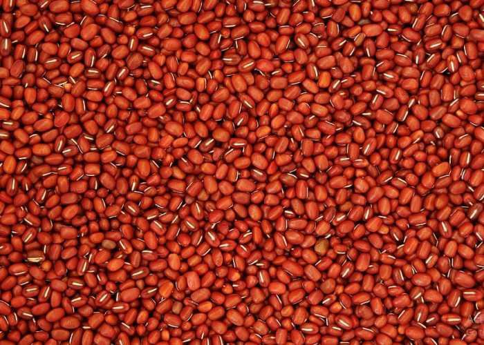 Manfaat Luar Biasa Kacang Merah bagi Kesehatan: Dukungan untuk Diabetes, Kesehatan Jantung, dan Banyak Lagi!