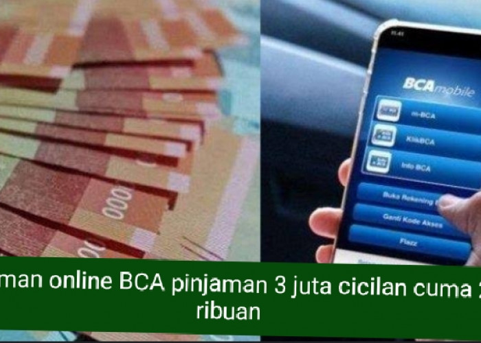 Syarat dan Cara Daftar Pinjaman Online BCA, Cuma Modal Foto KTP Bisa Cair 3 Juta Cicilan 200 Ribuan