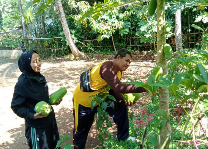 Berjarak 37 Km dari Pusat Kota Pemalang, Kebun Seruni Cibuyur Bakal Jadi Wisata Edukatif Baru yang Digandrungi