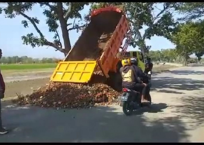 Mirip Aksi 2 Sultan, Pemuda Songgom Brebes Patungan untuk Memperbaiki Jalan Rusak  