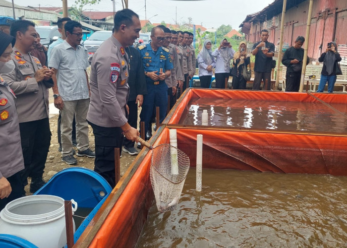 Dukung Program Ketahanan Pangan, Polisi di Tegal Panen Lele