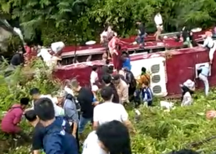 BREAKING NEWS! Bus Pariwisata Masuk Jurang di Kawasan Guci Tegal