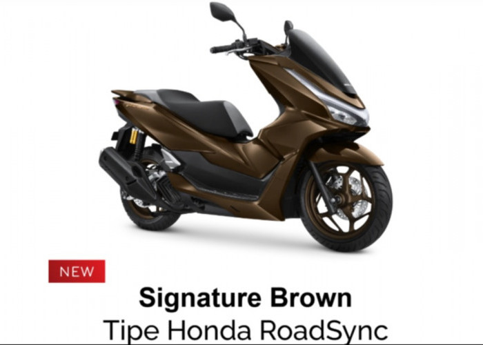 Honda PCX 160 Terbaru Punya Warna Baru, Ada Phenomenal Blue hingga Signature Brown