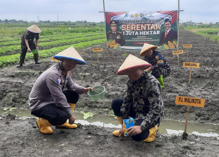 Dukung Ketahanan Pangan, Pj. Walkot Tegal Ikuti Penanaman Jagung Serentak 