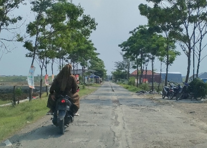 Ruas Jalan Tengguli-Luwunggede Brebes Diperbaiki Tahun Depan, Anggaran Capai Rp7,6 Miliar