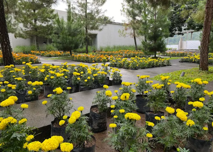 10 Rekomendasi Wisata Keluarga Murah di Jawa Tengah, Seru dan Edukatif