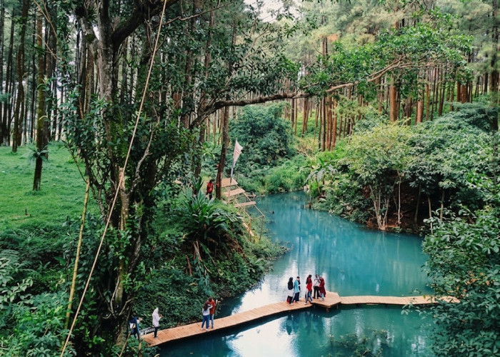 5 Wisata Sejuk Kabupaten Tegal dengan Tiket Mulai Rp5 Ribuan Ada Hutan Pinus hingga Curug