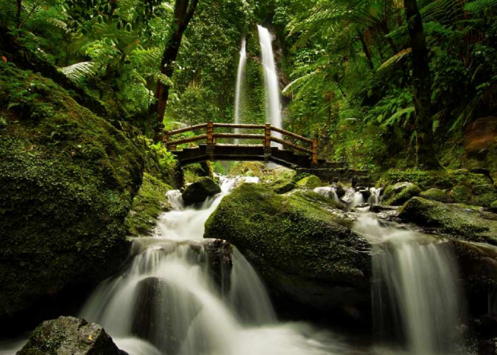 5 Mitos Air Terjun Jumog yang Bersumber dari Media Terkenal