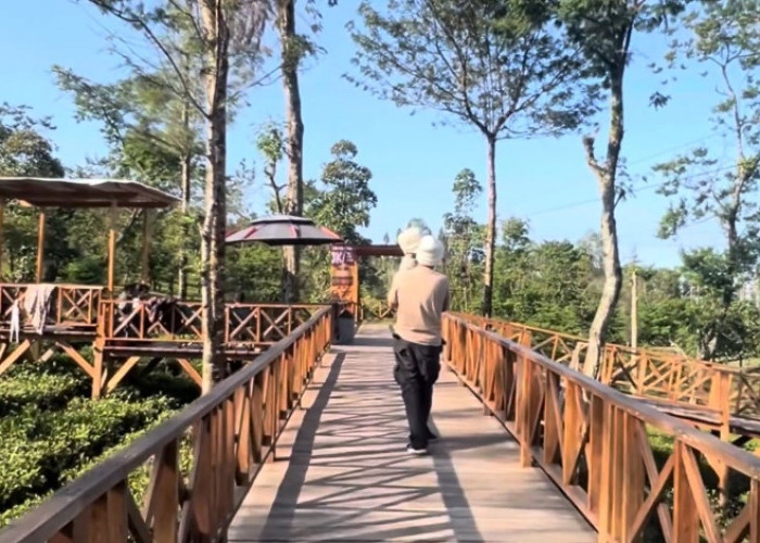 6 Wisata Keluarga Murah dan Seru di Wonosobo yang Penuh Kenangan