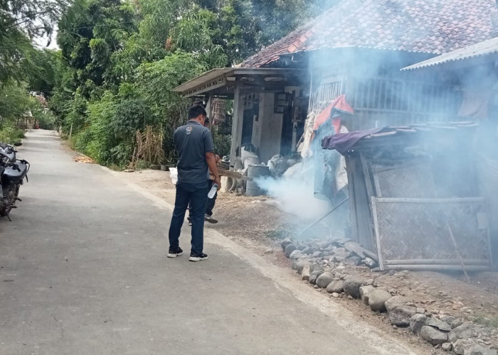 Dua Warga di Desa Blubuk Brebes Terjangkit DBD, Petugas Segera Lakukan Fogging 