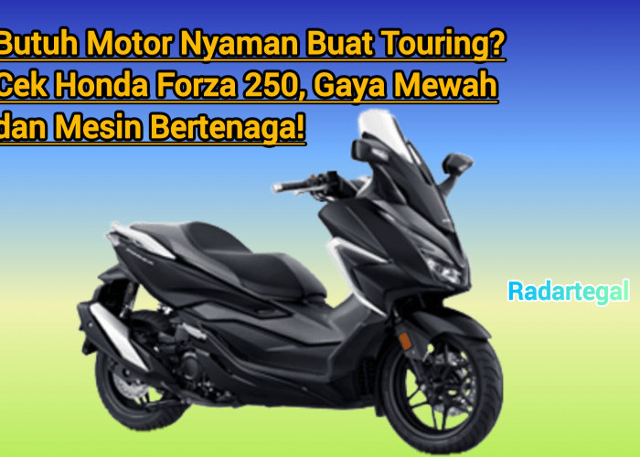 Mau Nyaman saat Touring? Cek Honda Forza 250, Gaya Mewah dan Mesin Bertenaga!