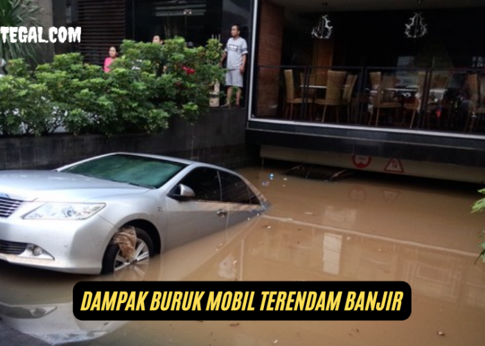 Musim Hujan, Ini Dampak Buruk Mobil Terendam Banjir yang Wajib Diwaspadai