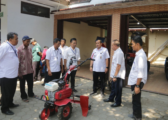 Bantuan Alsintan Bikin Petani Pemalang Tersenyum, Penanganan Pascapanen Jadi Lebih Mudah