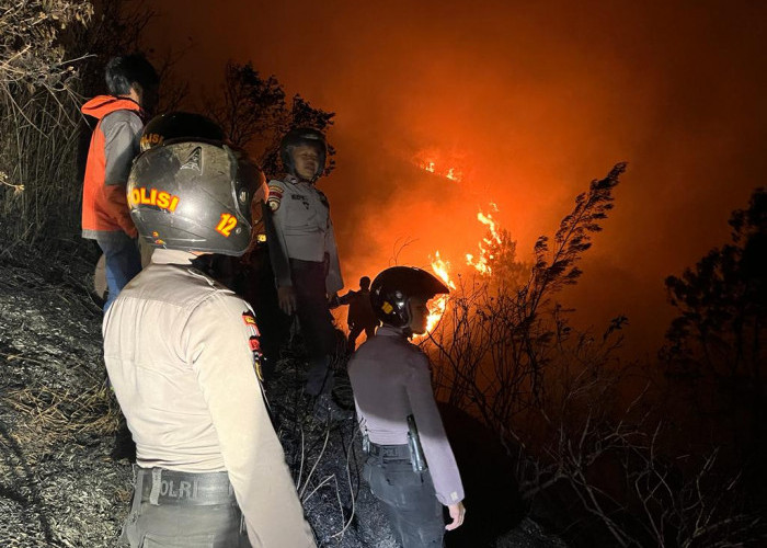 Lereng Gunung Sumbing Kebakaran, 1.056 Personel Gabungan Padamkan Api dan Evakuasi 88 Pendaki