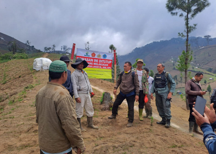 48 Hektare Hutan Lindung Lereng Gunung Slamet Rusak, Efek Perambahan di Kabupaten Tegal 