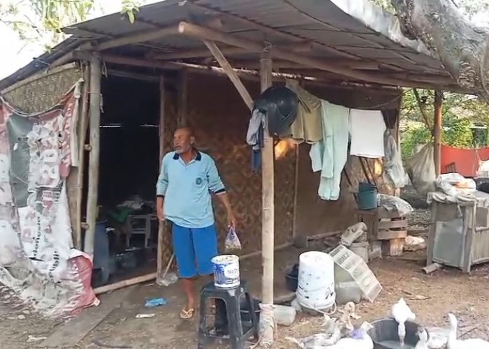 Miris, Warga di Brebes Tinggal dalam Gubuk Berdinding Geribik, Berlantai Tanah dan Bau Kotoran Hewan