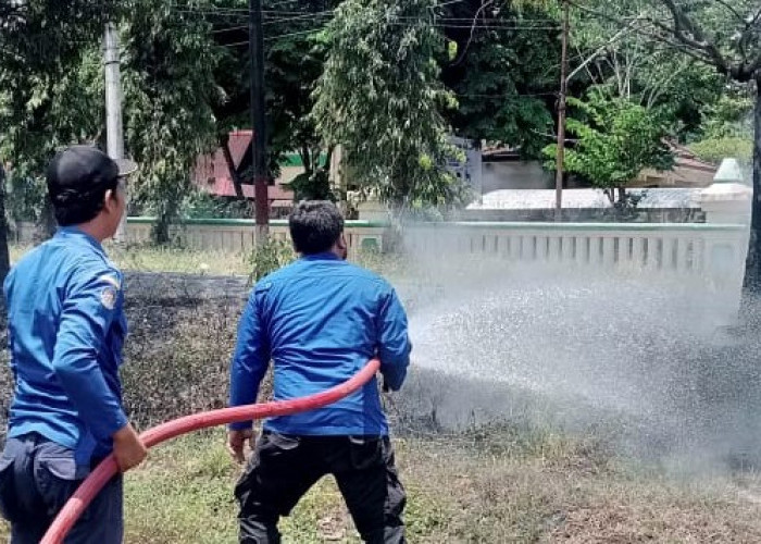 Kantor Pemda Kabupaten Tegal Nyaris Terbakar, Api Sudah Menjalar Mendekati Pagar