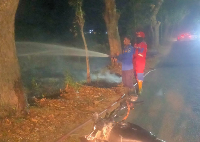 Marak Kelalaian Manusia, Tiga Kebakaran Lahan Terjadi Beruntun di Kabupaten Tegal