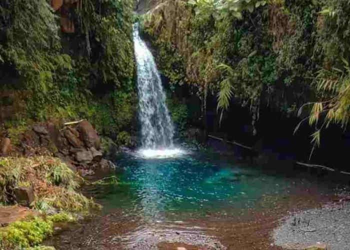Curug Indah di Purwokerto: 4 Oasis Tersembunyi untuk Healing Murah Meriah