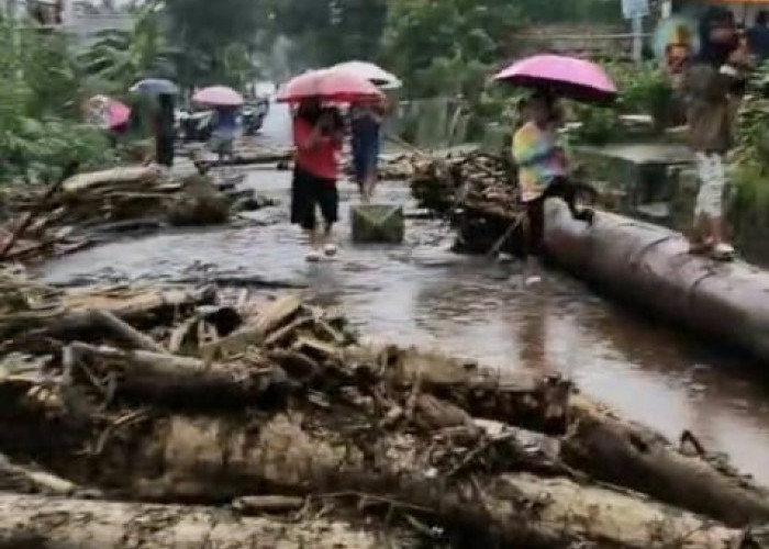 Hujan Deras Picu Banjir Bandang dan Pohon Tumbang di Pemalang
