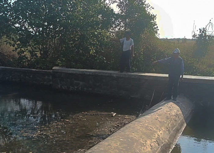 Belum Bisa Difungsikan, Petani Sayangkan Pembangunan Bendungan Irigasi di Pakijangan Brebes