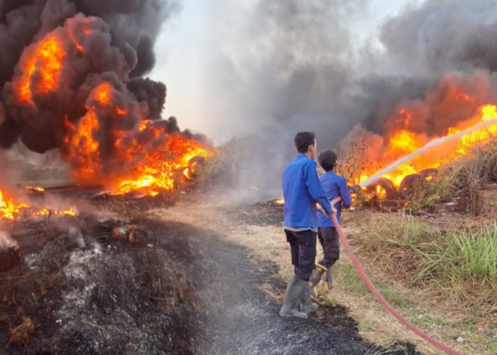 Hanguskan Ribuan Ban Bekas, Kasus Kebakaran di Gumayun Tegal Bikin Panik
