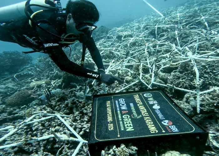 BRI Menanam – Grow & Green, Komitmen Jaga Ekosistem Lingkungan BRI Pada Hari Lingkungan Hidup Sedunia