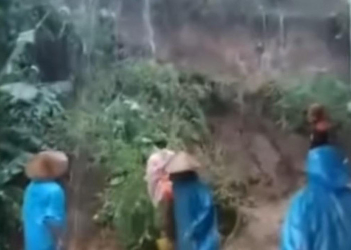 BREAKING NEWS, Tebing Tanah di Pemalang Setinggi 5 Meter Longsor Akibat Diguyur Hujan