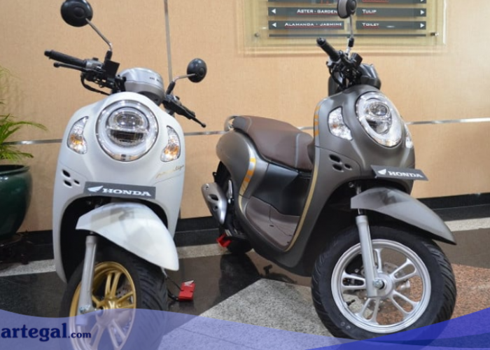9 Tips Perawatan Harian Motor Honda Scoopy Agar Awet Dipakai sampai 10 Tahun