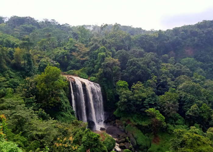 Wisata Alam Curug Sewu Kendal, Spot Tersembunyi dengan View Spektakuler