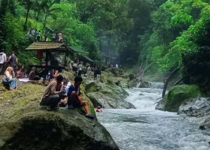 Tiketnya Ramah di Kantong, Ini 4 Wisata Alam di Pekalongan yang Suasananya Sejuk