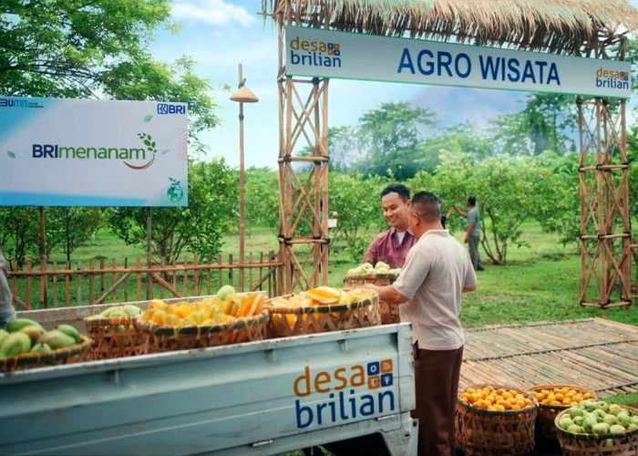 Kick-Off Program Desa BRILiaN: Wujud Nyata BRI Dorong Desa Wisata Jadi Destinasi Unggulan Daerah