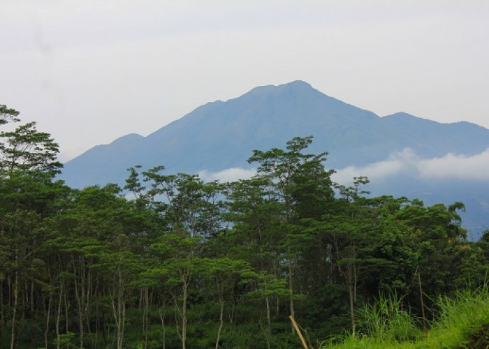 Misteri Gunung Slamet di Ramalan Jayabaya, Letusannya Bisa Membuat Pulau Terbelah Dua