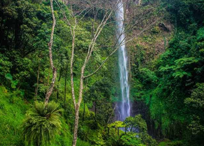 Curug Kalipancur Semarang, Air Terjun Cantik dengan Pesona 100 Meter di Lereng Telomoyo