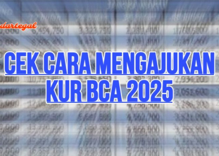 Bunga Rendah dan Syaratnya Mudah, Ini Cara Mengajukan KUR BCA 2025