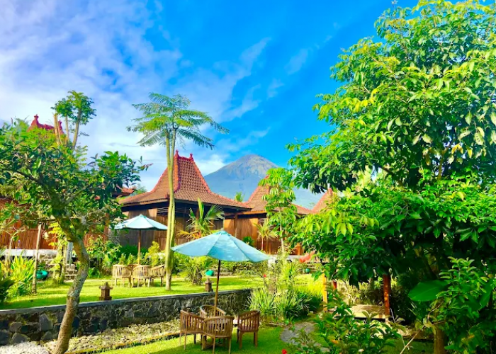 Rekomendasi 6 Homestay Murah di Wonosobo dengan View Gunung Sindoro dan Sumbing