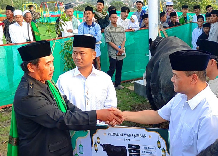 Progres Rencana Huntap Korban Tanah Bergerak Tegal Dimatangkan, Gubernur Cek 420 Huntara 
