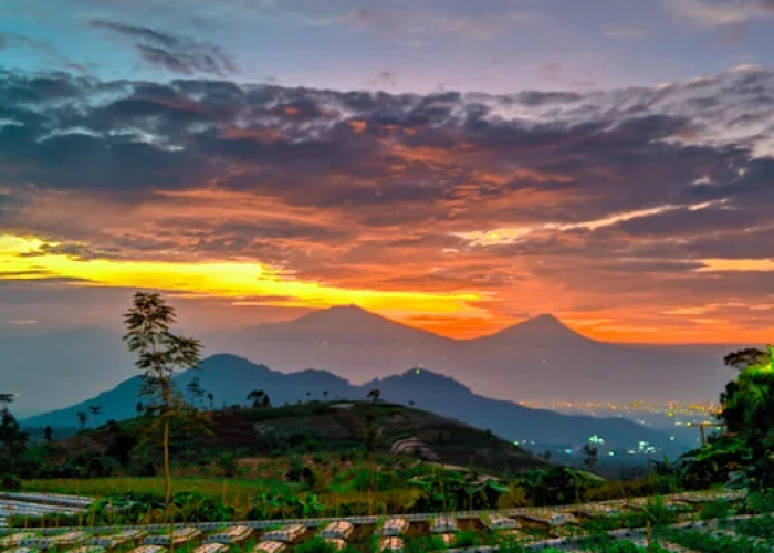 6 Wisata Alam Gunung Sumbing dengan Spot Foto Estetik yang Lagi Hits 2025