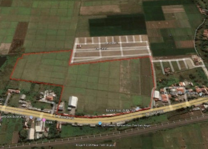 Pembangunan Sekolah Rakyat, Pemkab Brebes Tunggu Instruksi Pusat