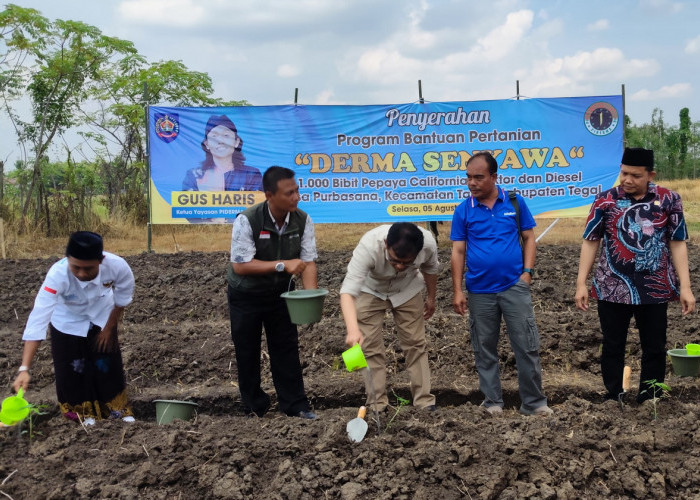 Petani Purbasana Tegal Dapat Bantuan 2 Traktor, Bibit Pepaya dan Pompa Air Diesel