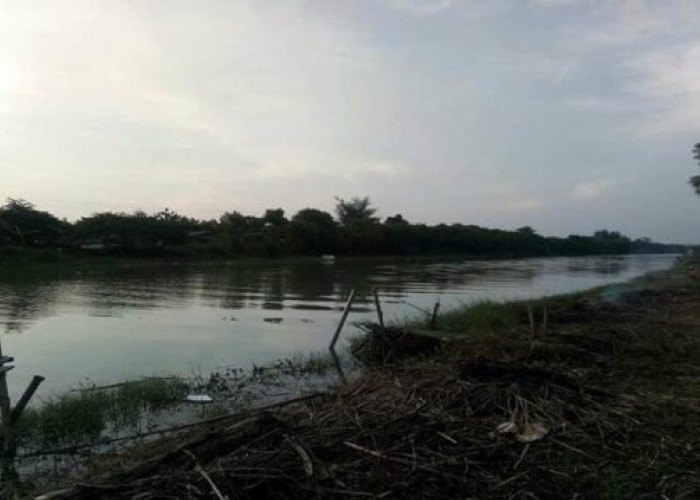 Mitos Sungai Ketiwon Tegal, Konon Di Huni Sosok Buaya Putih Dan Naga Raksasa 