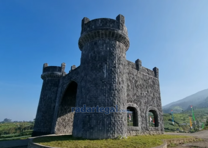 Hutan Pinus Kahyangan Magelang, Wisata Alam Eksotis dengan Udara Sejuk di Lereng Merbabu