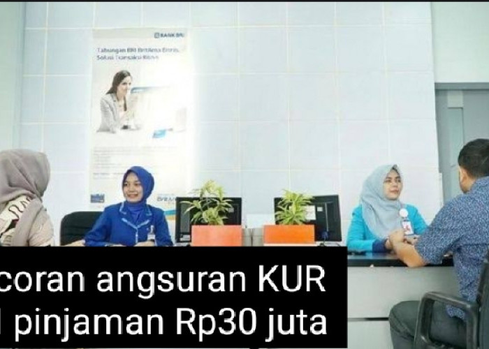 Tabel Angsuran KUR BRI 2024 Pinjaman Rp30 Juta, Cicilan Per Hari Setara dengan Rp21 Ribuan