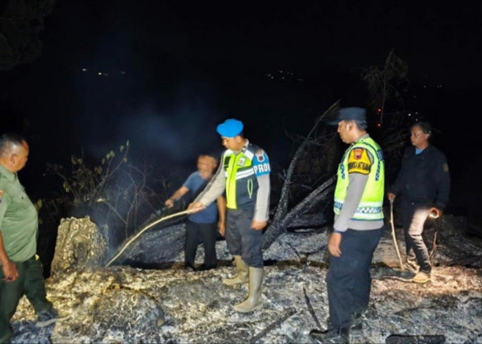 Hutan Pinus Perhutani Kebumen Kebakaran: Api Padam 2 Jam, Setengah Hektare Area Hangus