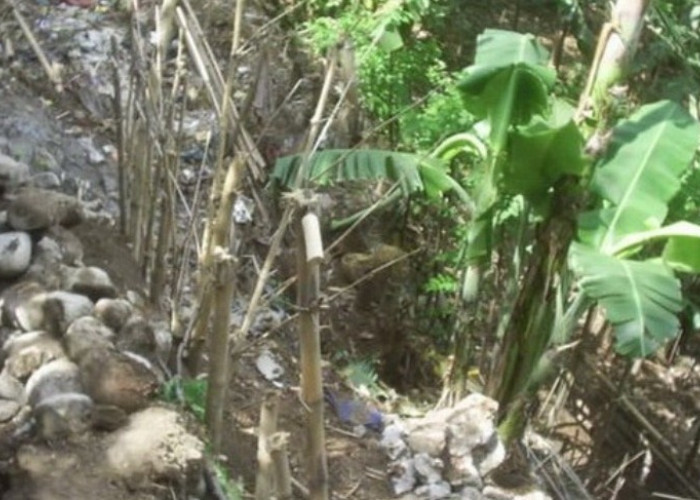 Tebing Sungai Cidadap Brebes Setinggi 14 Meter Retak dan Rawan Longsor, Warga Ketakutan  