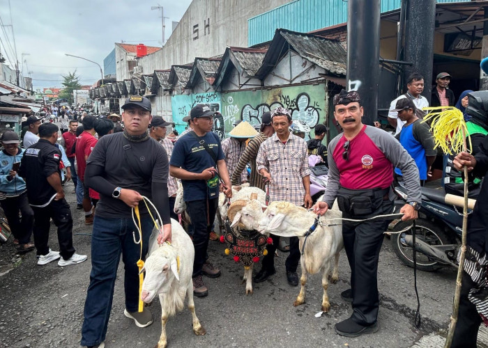 Unik! Hewan Ternak Unggulan Ikut Pawai Kirab Budaya Hari Jadi Brebes ke-384